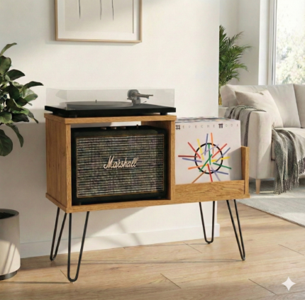 Plak ve Pikap Dolabı | Model-16 MINI-H